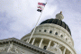 California state capitol, Sacramento